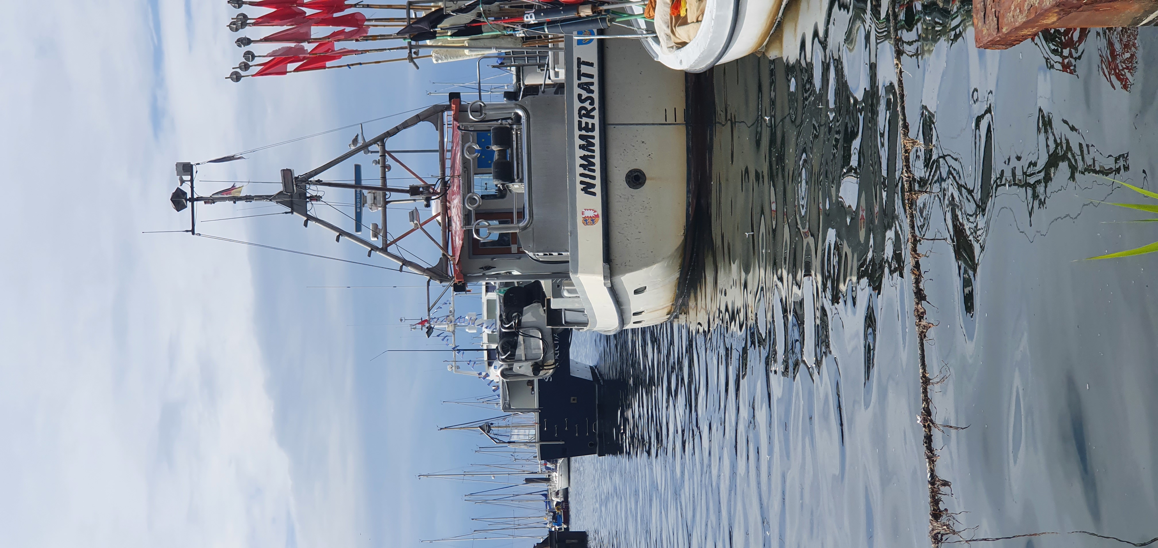 Die geuferte Schiff aus Folge 1